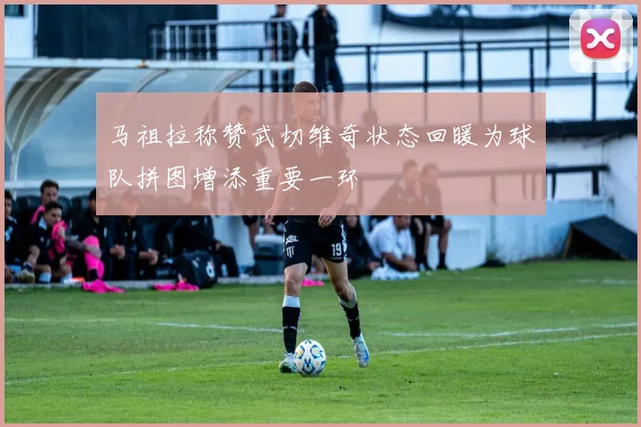 马祖拉称赞武切维奇状态回暖为球队拼图增添重要一环